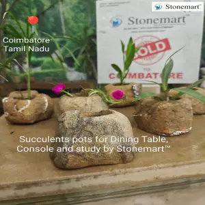 Sold To Coimbatore, Tamil Nadu Stone Succulent Pots For Console Table And Home Decor