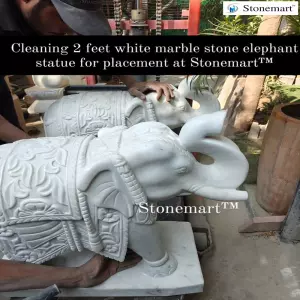 Intricately Carved 2 Feet White Marble Stone Elephant Statues For Outdoor