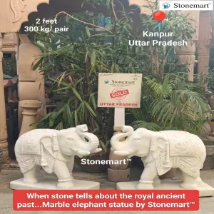 Sold To Kanpur, Uttar Pradesh 2 Feet, 300 Kg Pair Of Hand Carved White Marble Stone Elephant Sculptures